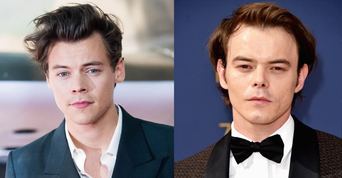 Is Harry Styles in Stranger Things Revealing Charlie Heaton and Harry Styles Lookalike