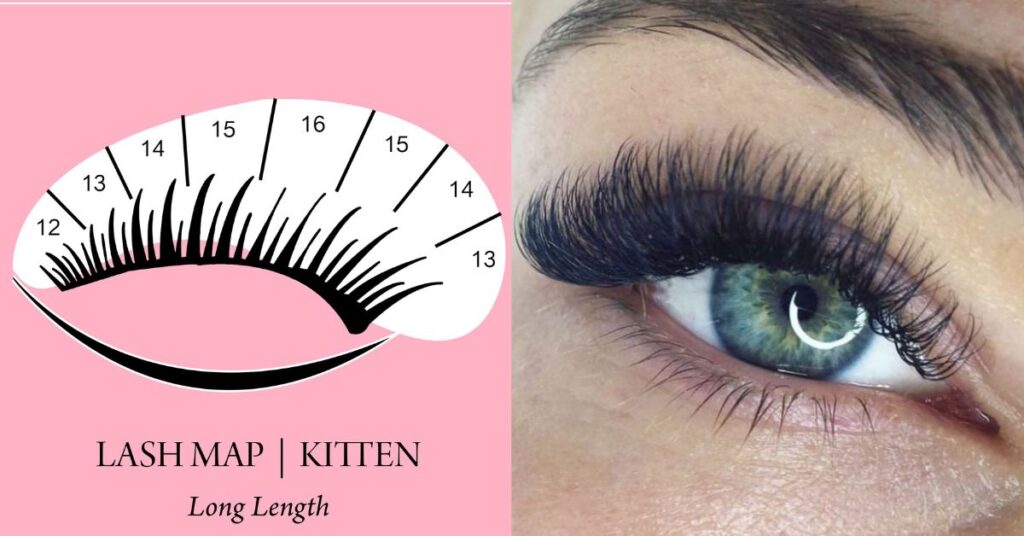 Kitten Eye Eyelash Extensions