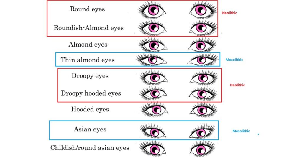 Recommendation Of Eyelash Extensions Styles For Different Eye Shapes