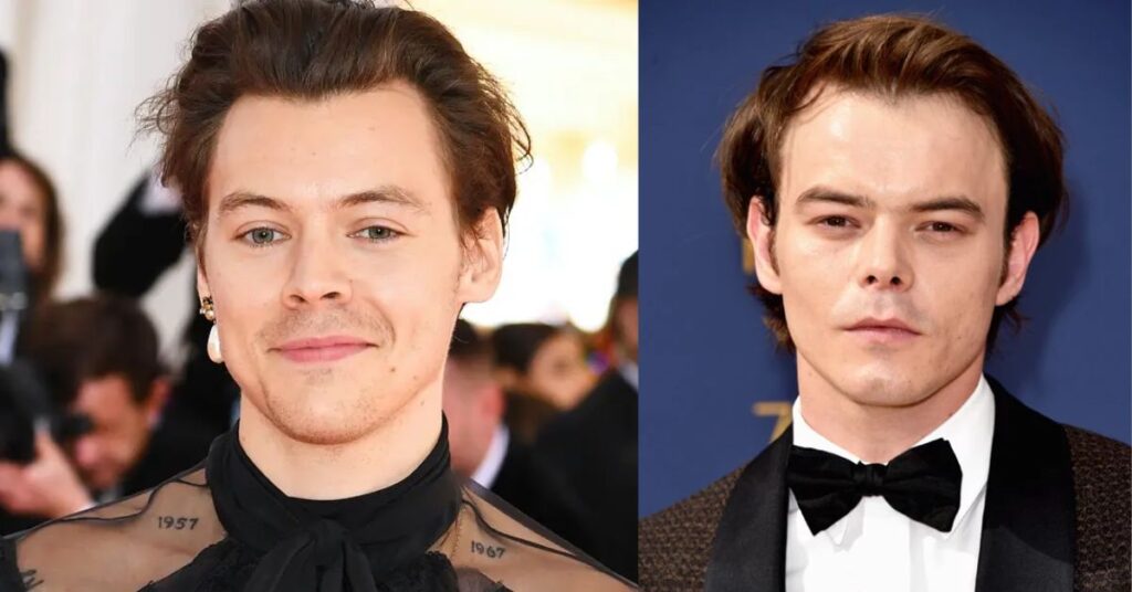 The Similarities between the two Harry Styles and Charlie Heaton