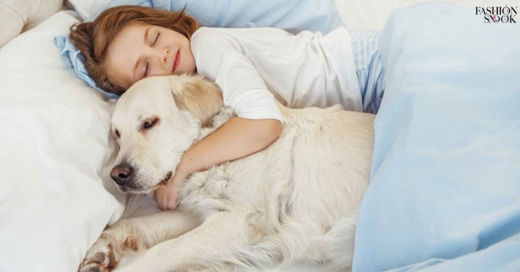 Why Some Dogs Like to Sleep or Cuddle with Shoes